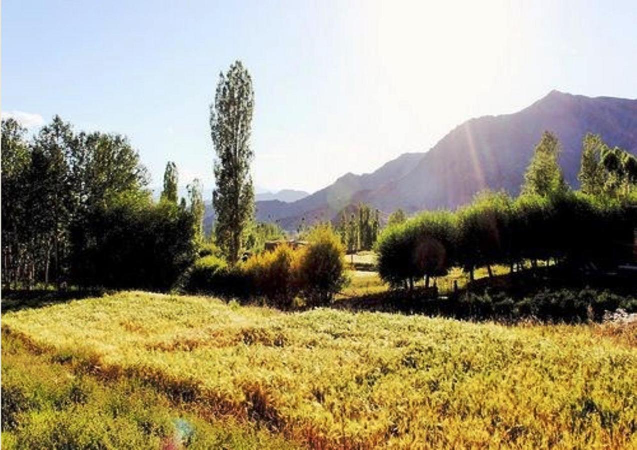 Himalayan Residency Ladakh Hotel Leh Exterior photo
